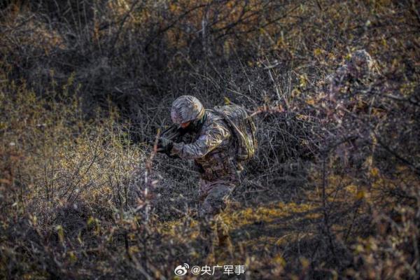 帅！武警特战队员密林深处训练大片