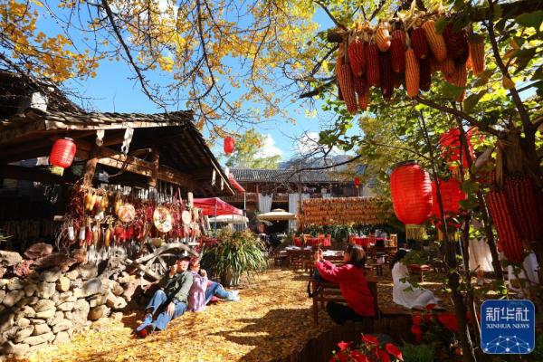 银杏金黄染初冬