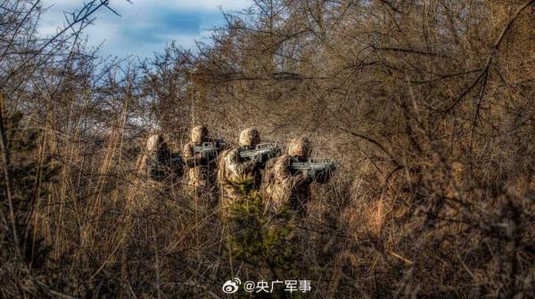 帅！武警特战队员密林深处训练大片