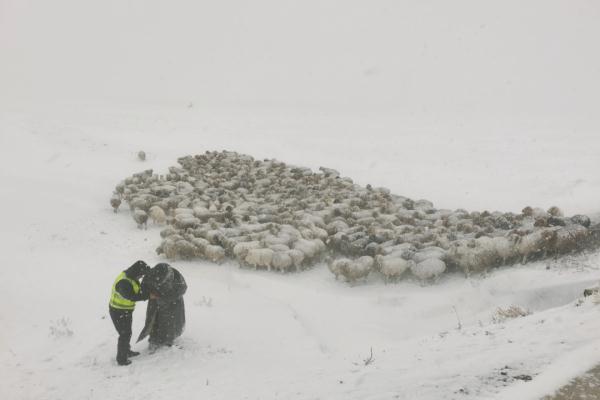 看！皑皑白雪下那一抹蓝！