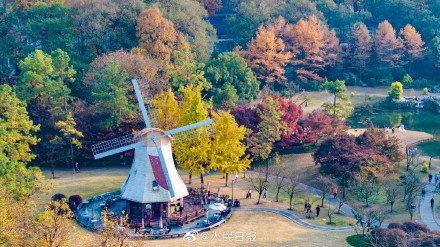 收藏！11月的西湖有多美