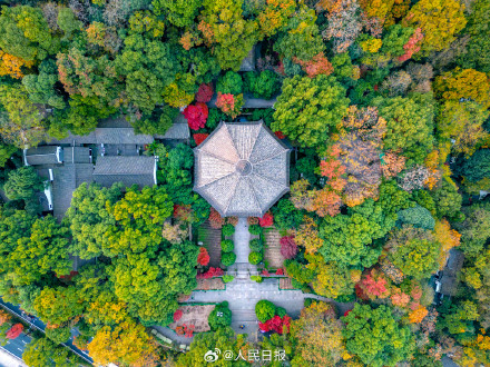 收藏！11月的西湖有多美