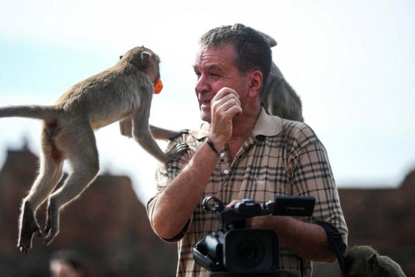 泰国华富里举办“猴子自助餐节”
