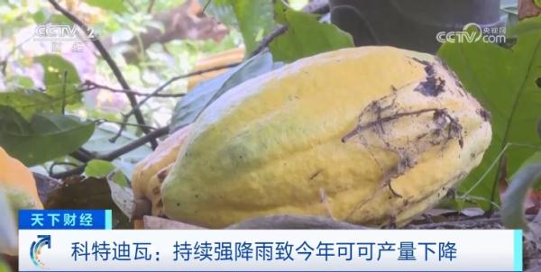 价格飙升,45年来最高! 价格飙升,45年来最高!