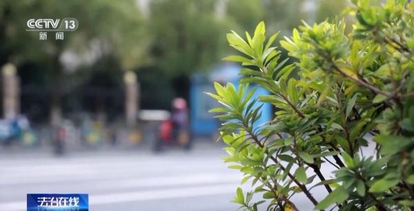 全国首例“AI外挂”案告破!揭秘背后破案过程 全国首例“AI外挂”案告破!揭秘背后破案过程