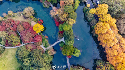 收藏！11月的西湖有多美