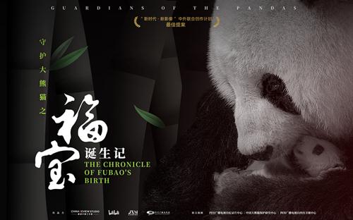 《守护大熊猫之福宝诞生记》今上线 ——15分钟揭开大熊猫的“新秘密”