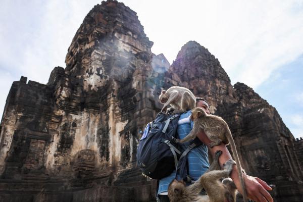 泰国华富里举办“猴子自助餐节”
