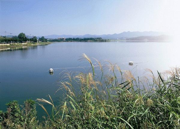 韩媒:22岁中国留学生在韩身亡 在大学附近水库内被发现 韩媒:22岁中国留学生在韩身亡 在大学附近水库内被发现