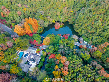 收藏！11月的西湖有多美
