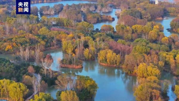 候鸟“落户”变留鸟 走进西安浐灞国家湿地公园感受生态之美 候鸟“落户”变留鸟 走进西安浐灞国家湿地公园感受生态之美