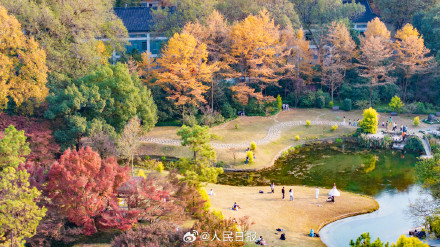 收藏！11月的西湖有多美