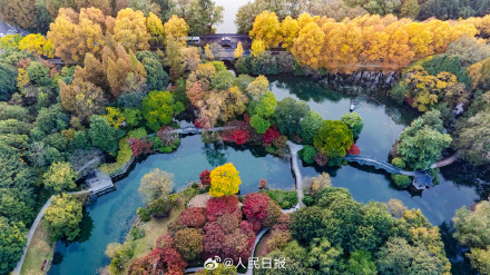 收藏！11月的西湖有多美