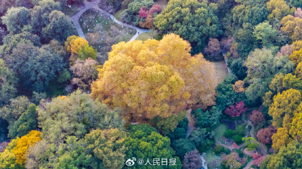 收藏！11月的西湖有多美