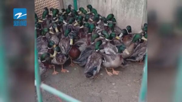 真香!很多人最爱的这一口终于上线,仪式感满满 真香!很多人最爱的这一口终于上线,仪式感满满