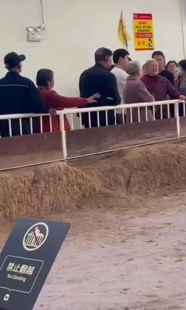 知名景区内，游客吐痰扔烟头！官方通报→