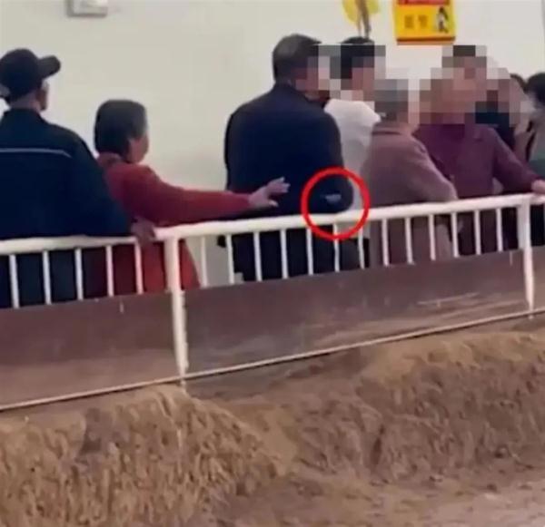 老人往兵马俑坑内吐痰、扔烟头被曝光!官方回应 老人往兵马俑坑内吐痰、扔烟头被曝光!官方回应