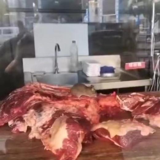 火锅店现老鼠啃肉？查封、立案！