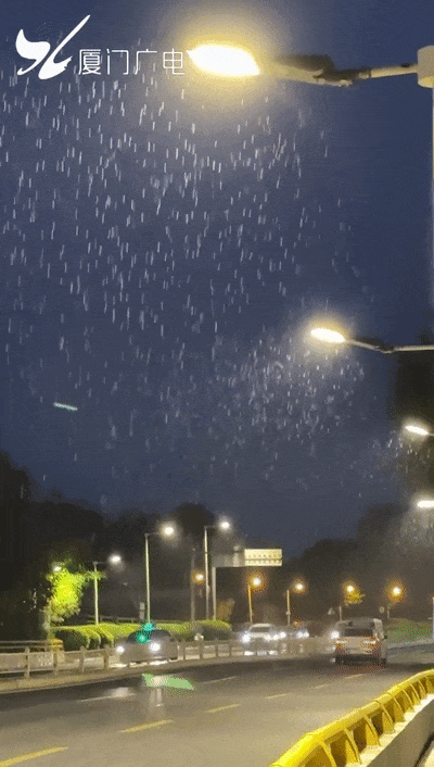 即将反转！明天抵达厦门！