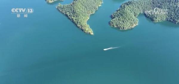 从增量到提质 全力打造美丽湿地上的“生态画卷” 从增量到提质 全力打造美丽湿地上的“生态画卷”