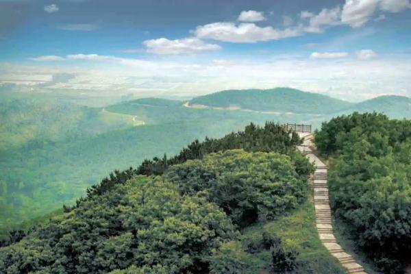 青岛两处景区入选省级名单 青岛两处景区入选省级名单