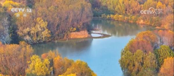 从增量到提质 全力打造美丽湿地上的“生态画卷” 从增量到提质 全力打造美丽湿地上的“生态画卷”