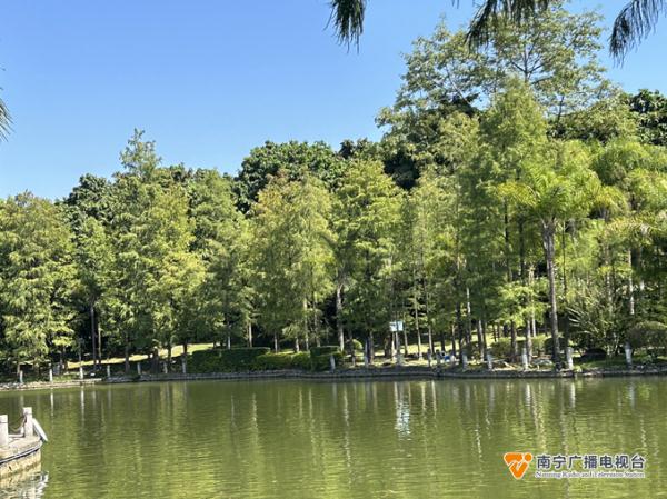 今晚开始冷空气影响南宁!阴雨天气来袭→ 今晚开始冷空气影响南宁!阴雨天气来袭→