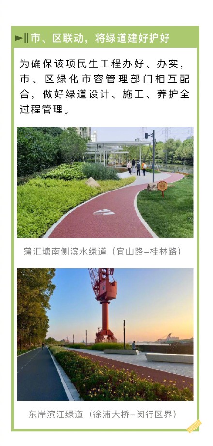 “200公里绿道建设”目标超额完成！上海绿道长度已超1769公里→