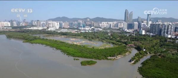 从增量到提质 全力打造美丽湿地上的“生态画卷” 从增量到提质 全力打造美丽湿地上的“生态画卷”