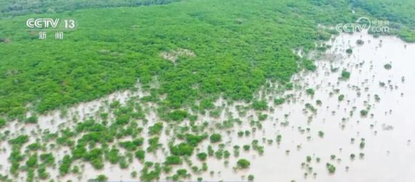 从增量到提质 全力打造美丽湿地上的“生态画卷” 从增量到提质 全力打造美丽湿地上的“生态画卷”