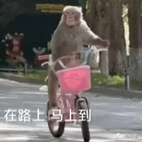 即将反转！明天抵达厦门！