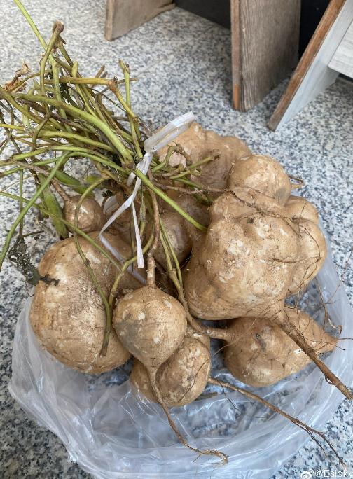 有剧毒！这个部位不能吃！这种食材长沙很常见……