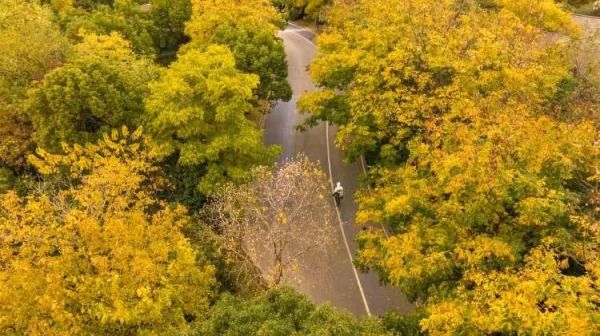 上海人注意:冷空气马上杀到!能早下班的尽量啊… 上海人注意:冷空气马上杀到!能早下班的尽量啊…