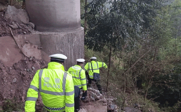 救回摔下山谷的牧羊老人后，他们秒变“牧羊人”还当起了“羊贩”