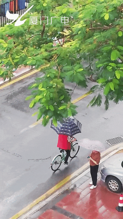 即将反转！明天抵达厦门！