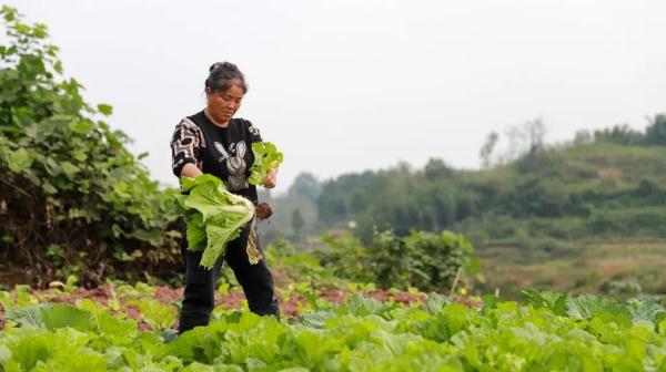婆媳变“母女”!丈夫“走”后她带着婆婆改嫁 婆媳变“母女”!丈夫“走”后她带着婆婆改嫁