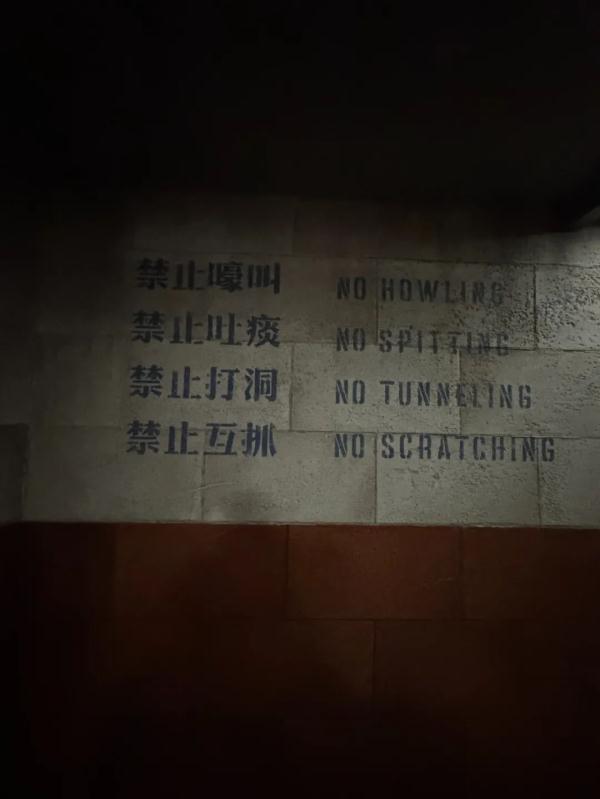超前探营！上海迪士尼“疯狂动物城”海量细节大剧透！第一视角体验→