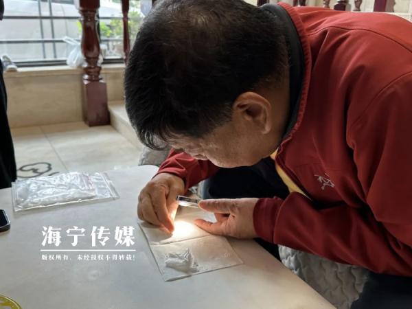 头皮发麻！浙江一居民家“怪虫”泛滥，爬得到处都是…杀虫剂都没用！