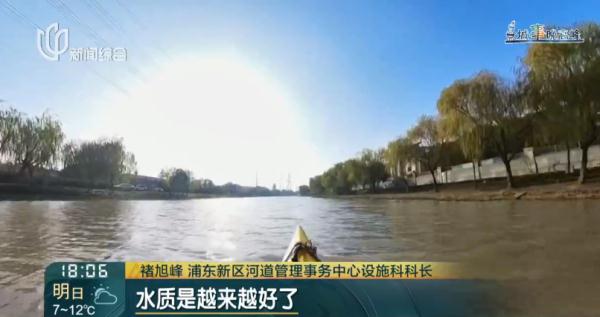 "划船上班"47天！沪一高管的通勤方式火了！网友：比开车省多久？