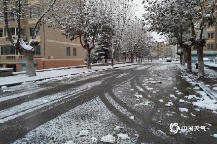 下雪啦 山东威海大地银白枝头似棉花 下雪啦 山东威海大地银白枝头似棉花