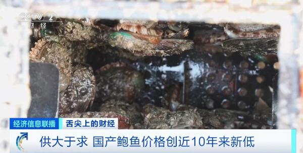 鲍鱼价格跳水 “创近10年来新低”