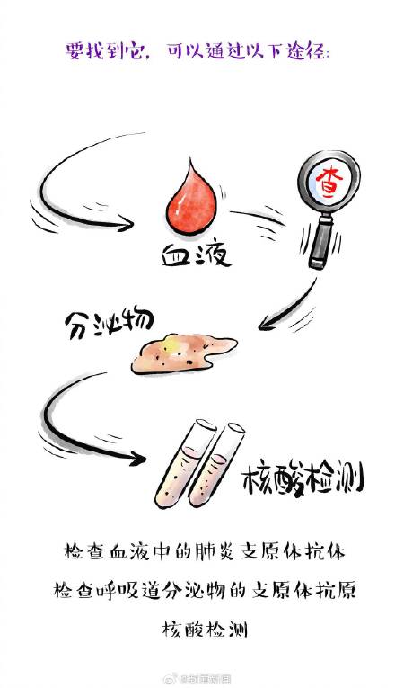 肺炎支原体和感冒症状有何不同? 肺炎支原体和感冒症状有何不同?