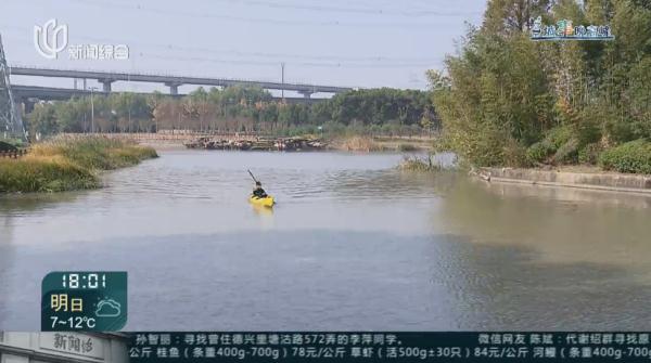"划船上班"47天！沪一高管的通勤方式火了！网友：比开车省多久？