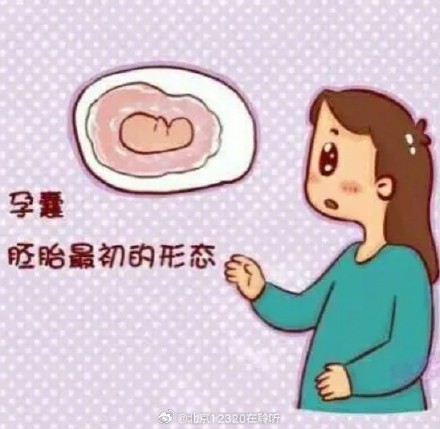 孕妈B超单子上的“胎囊（孕囊）”是什么意思？