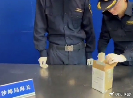 海关查获10只熊猫王鼠妇