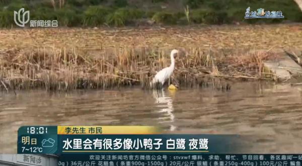 "划船上班"47天！沪一高管的通勤方式火了！网友：比开车省多久？