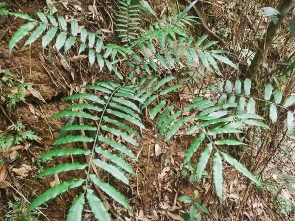 胡某、陈某(夫妻),双双获刑! 胡某、陈某(夫妻),双双获刑!