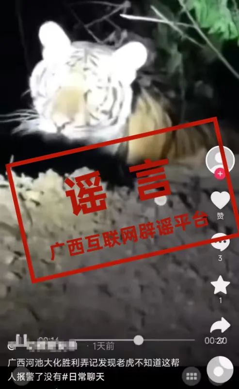 广西两地出现野生老虎?当地回应! 广西两地出现野生老虎?当地回应!