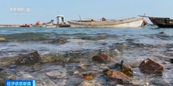 这种“名贵食材”,便宜了!价格创近10年新低 这种“名贵食材”,便宜了!价格创近10年新低