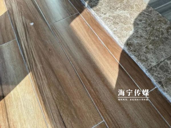 头皮发麻！浙江一居民家“怪虫”泛滥，爬得到处都是…杀虫剂都没用！
